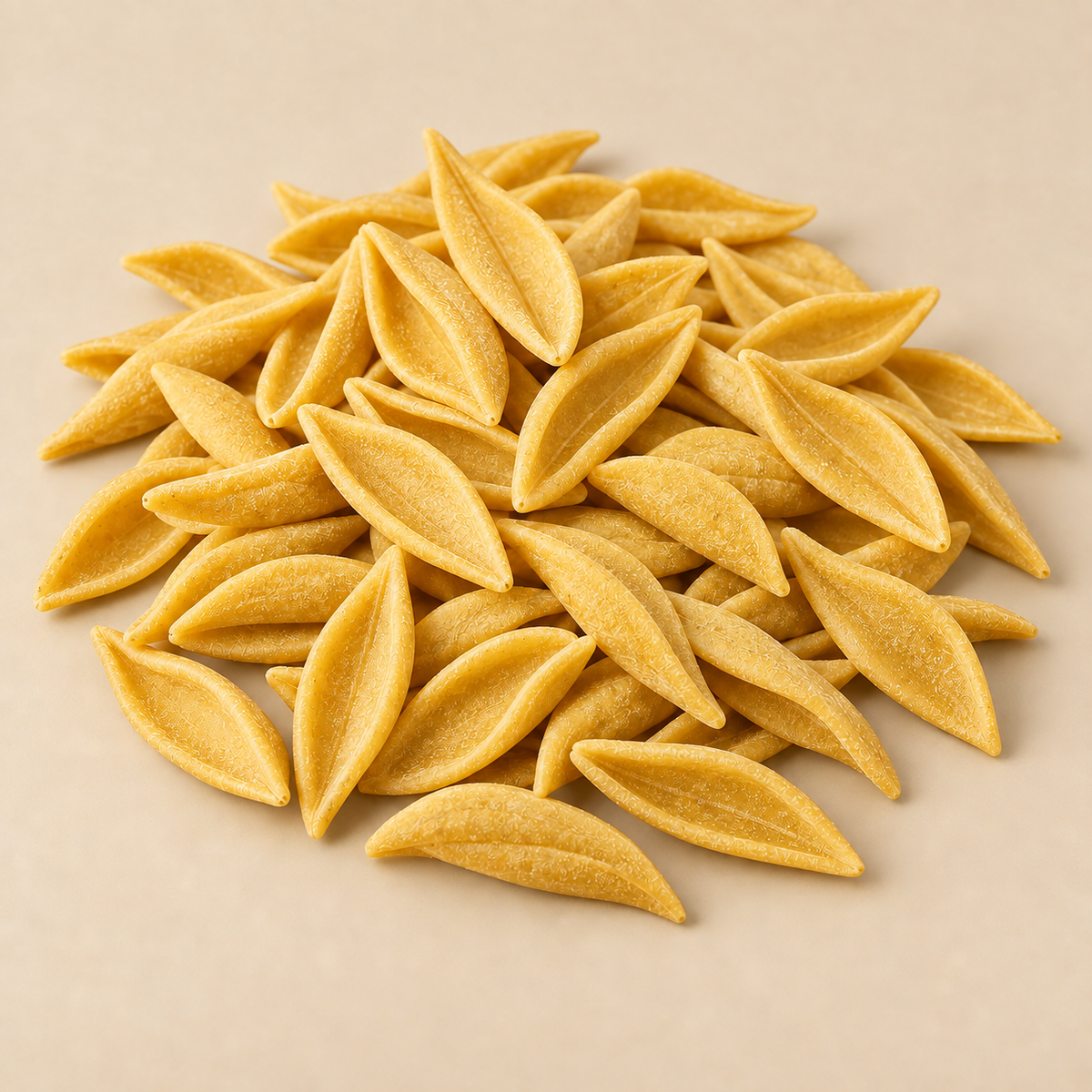 FOGLIE D'ULIVO